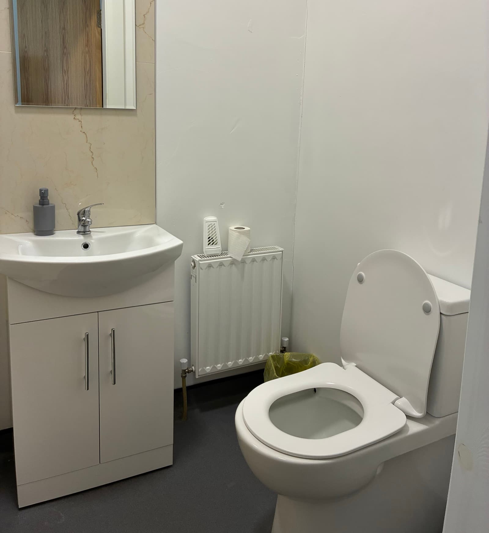 Private en suite toilet and washbasin at Edenderry Central Rooms
