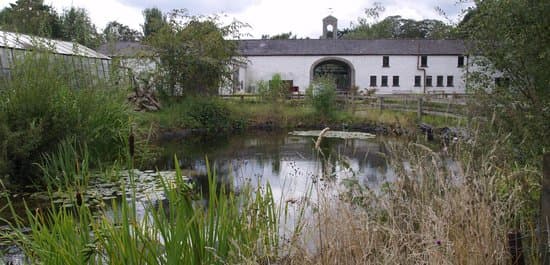 Bog of Allen Nature Reserve near Edenderry