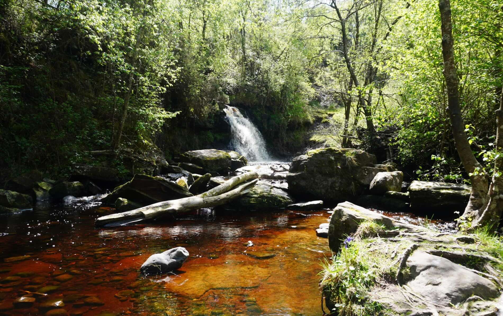Waterfall and trails in the Slieve Bloom Mountains